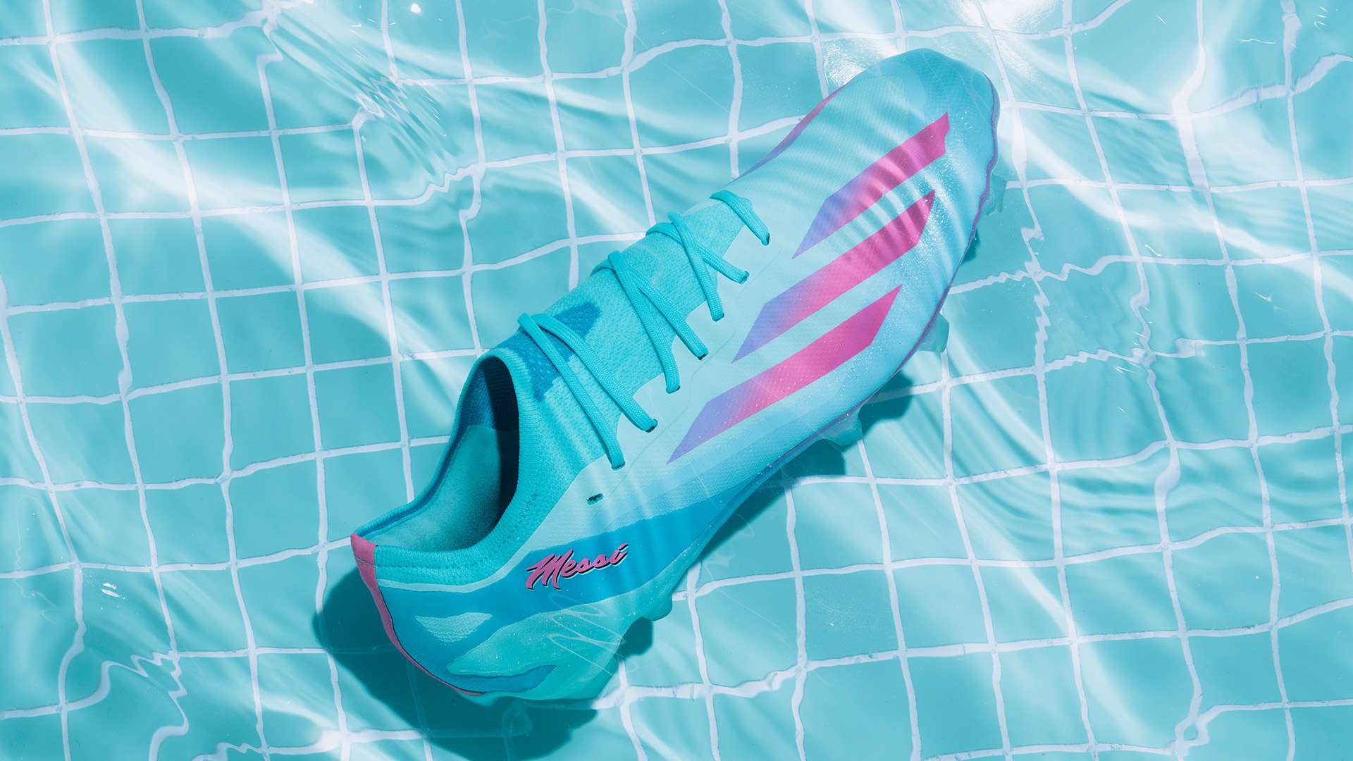 无从谈起 无从谈起