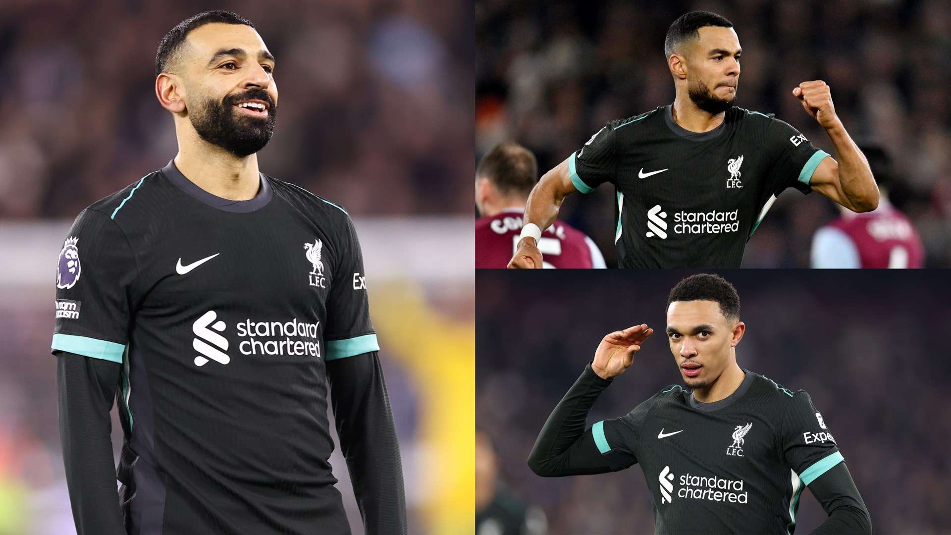 了職業生涯 了職業生涯